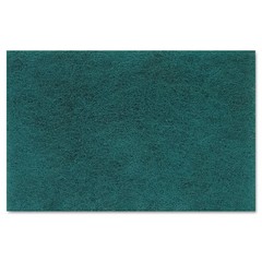 Boardwalk 196 6 in. x 9 in. Medium Duty Scour Pad – Green (20/Carton) New