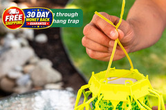 TrapStik for Wasps, Mud Daubers, Carpenter No Size, Green
