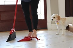O-Cedar Pet Pro Broom with Step-On Dustpan | PowerCorner Broom, Red