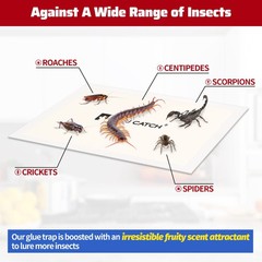 LULUCATCH Cricket Insect Glue Traps – 6 Pack Bug Cockroach 6 Pack, White