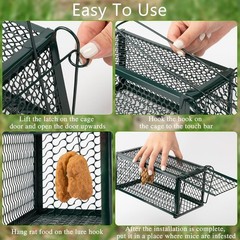 Qualirey 4 Pcs Humane Rat Trap Chipmunk Rodent 9.1 x 4.5 x Inches, Green