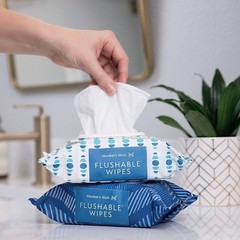 Member’s Mark Flushable Wipes, Fresh Scent, 540 ct.