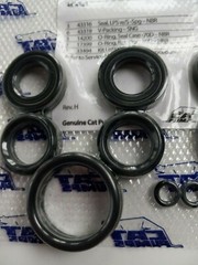 30629 SEAL KIT FOR CAT PUMP 45, 45G1 PRESSURE WASHER PUMP