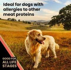 Victor Super Premium Dog Food Grain Yukon River Canine Supports Immune