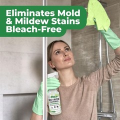 Mighty Mint Mold & Mildew Stain Remover Spray, 16 Fl Oz (Pack of 1), Natural