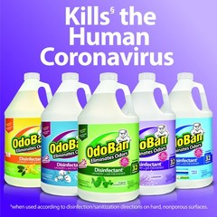 OdoBan Disinfectant Concentrate and Odor Eliminator, Made in the USA, Original E
