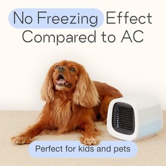 Evapolar evaCHILL Portable Air Conditioners – Portable AC Unit – Small Person…