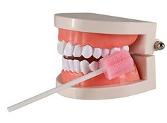100PCS Disposable Mouth Swabs Sponge 100 Count (Pack of 1), 100 Pink