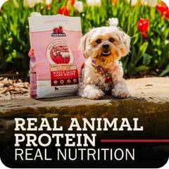 Redbarn Pet Products Redbarn Grain-Free Large Breed Dog – – In Usa No