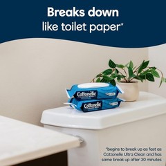 Fresh Feel Flushable Adult Wet Wipes, 8 Packs of 42 Wipes (336 Total)