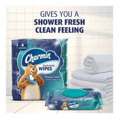 Charmin Flushable Wipes – 8pk/40ct