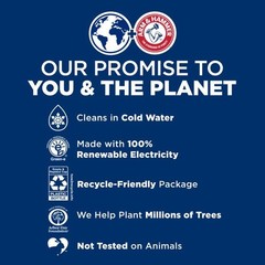 ARM & HAMMER Liquid Laundry Detergent, Powerfully 205 Fl Oz (Pack of 1)
