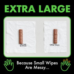 Flushable Wipes, XL Wet Wipes for at Home Use, Herbal Relief, 144 Count