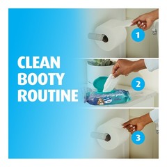 Charmin Flushable Wipes – 8pk/40ct
