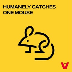 Victor M337 Live Catch Mouse Trap – Humane & Release (Pack of 1), Clear