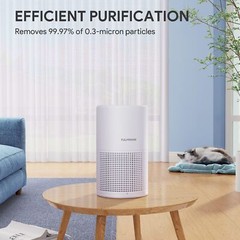 Air Purifiers for Bedroom, FULMINARE H13 True HEPA Air Filter, Quiet Air Clea…