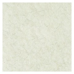 Boardwalk 4019NAT Natural Burnishing Floor Pads, 19″ Diameter, White, 5/Carton
