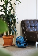 XPOWER P-80A,600 CFM,Low 1.2 Amp Mini Air Mover Carpet Dryer Floor Blower-Black