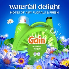 Gain Liquid Laundry Detergent with Odor Defense, 132 Fl Oz (Pack of 1)