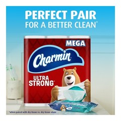 Charmin Flushable Wipes – 8pk/40ct