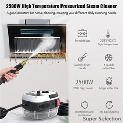 2500W Handheld Steam Cleaner High-Temperature With 3 Brush 1-Hour Continuous