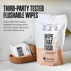 Wipe That Tush On-The-Go Flushable Wipes – 1 30 Count (Pack of 1), White