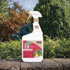 Bonide 8066 Captain Jack s Bacillus Thuringiensis BT Organic Worm & Caterpillar