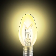 Jahy2Tech Original 6 Pcs Flea Trap Replacement Light Bulbs, Special for Brown