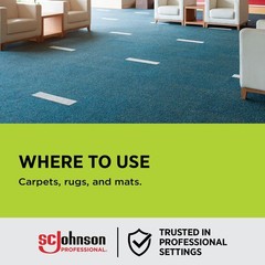 SC Johnson Professional SHOUT® Carpet Set-In Stain Remover 22oz, Case Pack