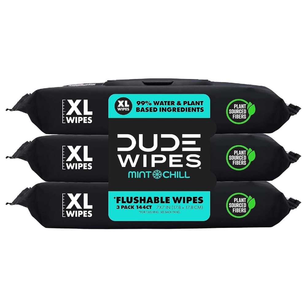 DUDE Wipes Flushable – 3 Pack, 144 Count – 48 (Pack of 3), White