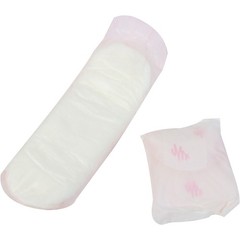 Hospeco Regular Maxi Pads (250im)