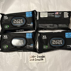 DUDE WIPES XL Flushable Wipes Fragrance Free 4 Count 192 Wipes Total