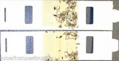 60 Trapper Monitor Insect Traps – 60 Bug Silverfish Scorpion Spider Earwig Traps