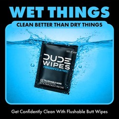 DUDE Wipes On-The-Go Unscented Travel – 30 30 Count (Pack of 1), White