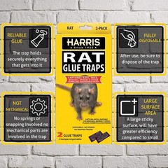 Harris Rat Glue Traps 2 Pack Large Sticky Boards for Rats Mice Roaches Spiders