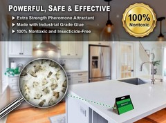 Maxguard Pantry Moth Traps (8 Pack) with Extra Strength 8 Pack, Green