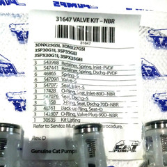 31647 VALVE FOR 3DNX, 3SP , 3SPX CAT PUMP PRESSURE WASHER PUMPS