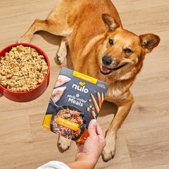 Nulo Gently Cooked Dog Food Variety Pack 9oz Shelf Stable 5 Count