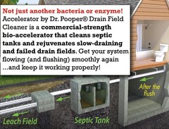 2-Pack Value BUNDLE of Drain Field Bundle, White with Blue Specks
