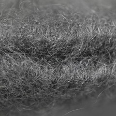 Global Materials Technologies Gmt Steel Wool 1 Medium Grade 17 Radial Floor