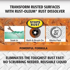 Heavy Duty Rust Remover Soak Bath Quart Metal Tool Car Bike Grill Bolt