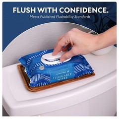 🧻 Member’s Mark Flushable Wipes Fresh Scent 540 Count Soft & Gentle Pack 🧻