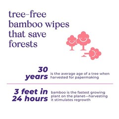 Bim Bam Boo | Flushable Wet Wipes | 100% Plant Based | 336 Count (Pack of 1)