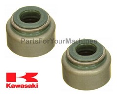 (2) OEM VALVE SEALS, KAWASAKI FH381V, FH430V, FH451V, FH480, FH500V, 11D13