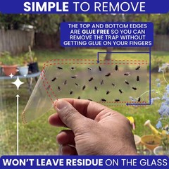 50 Window Fly Traps Sticky Non-Toxic Clear Paper Indoor for Transparent