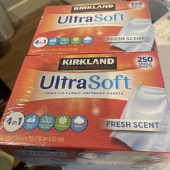 Kirkland Signature Fabric Softener Sheets, 250 Count (2 Pack)