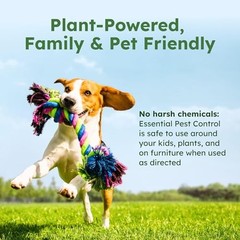 BugMD 32oz Refillable Spray Bottle 3 Modes Pest Control