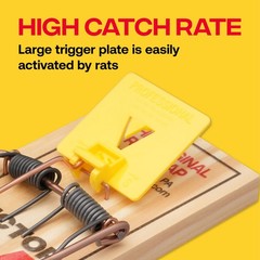 Victor M205 Wide Pedal Humane Snap Rat Traps Indoor for Home, 12 Traps, Wood