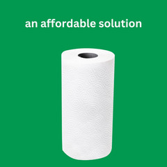 2-Ply Flex-Sheets Paper Towels, 12 Basics Rolls = 32 Regular Rolls, Everyday …