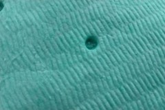 Zep 229201 25 Pk 22-3/4 In x 22-3/4 In Size Blue Absorbent Pad
